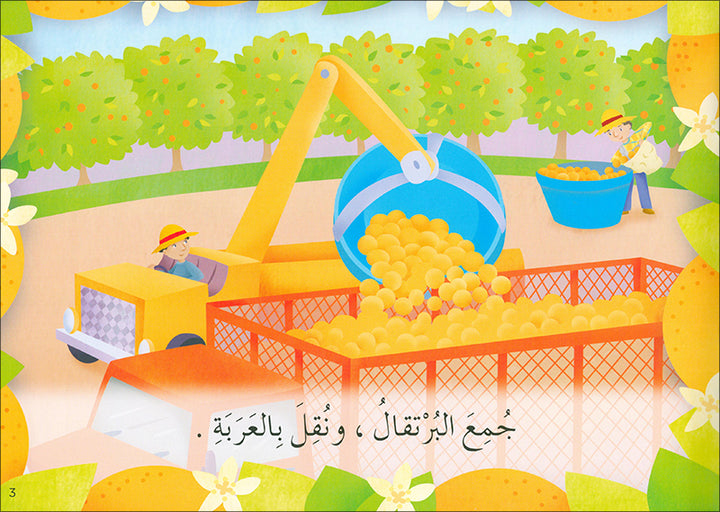 Learning Reading - Group 3 (12 Books, with Interactive CD) تعلم القراءة