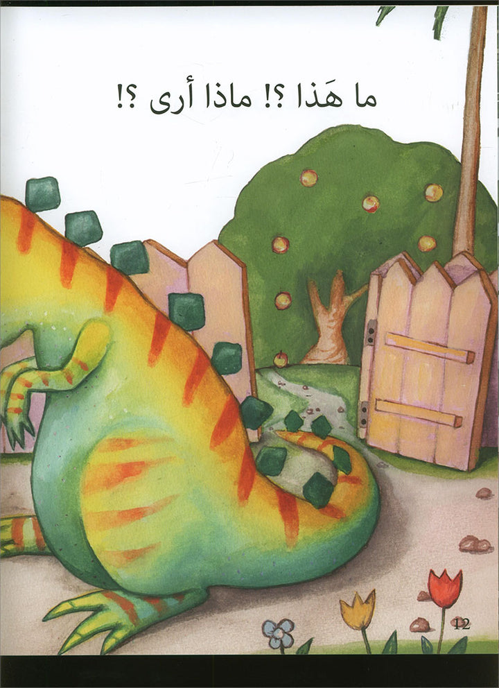 Graded Reading Series: Level 1 (Set of 9 Books) سلسلة القراءة المتدرجة