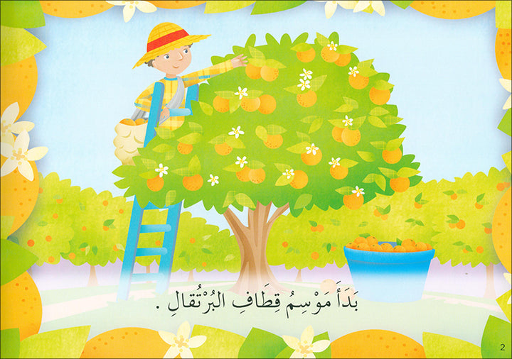 Learning Reading - Group 3 (12 Books, with Interactive CD) تعلم القراءة