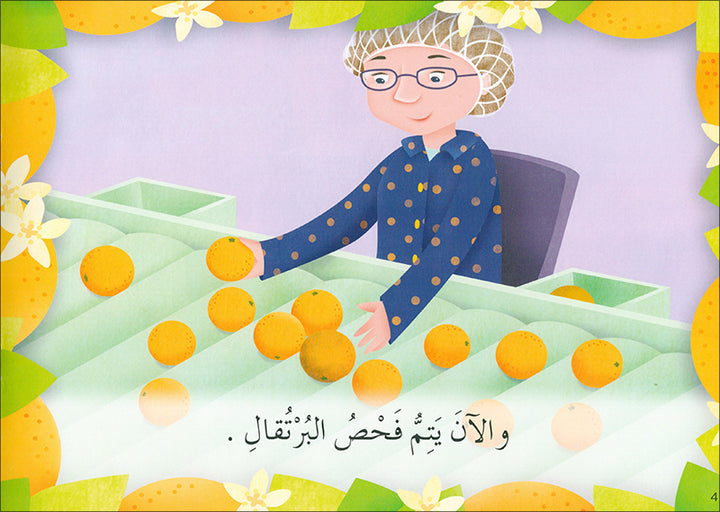 Learning Reading - Group 3 (12 Books, with Interactive CD) تعلم القراءة
