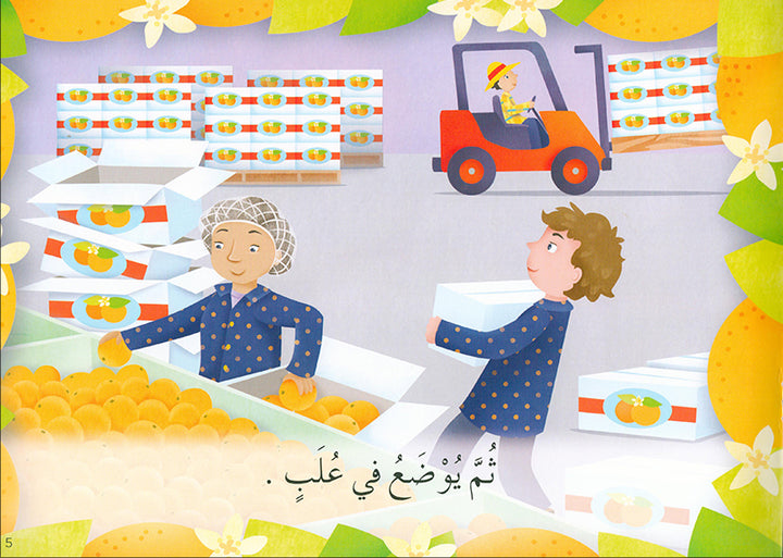 Learning Reading - Group 3 (12 Books, with Interactive CD) تعلم القراءة
