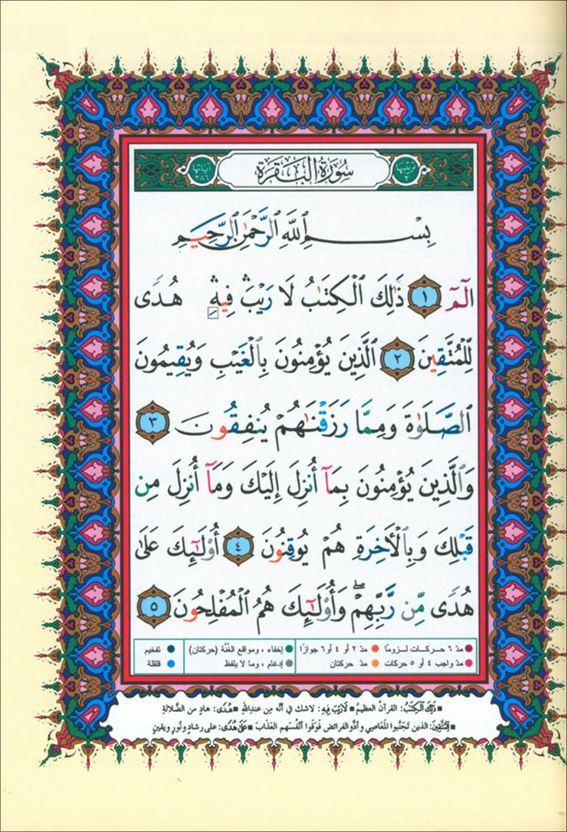 Bulk Tajweed Qur'an Set – 4 Books with Color-Coded Tajweed, Large Size (Hafs Narration) مصحف التجويد