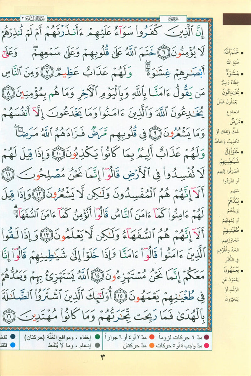 Bulk Tajweed Qur'an Set – 4 Books with Color-Coded Tajweed, Large Size (Hafs Narration) مصحف التجويد