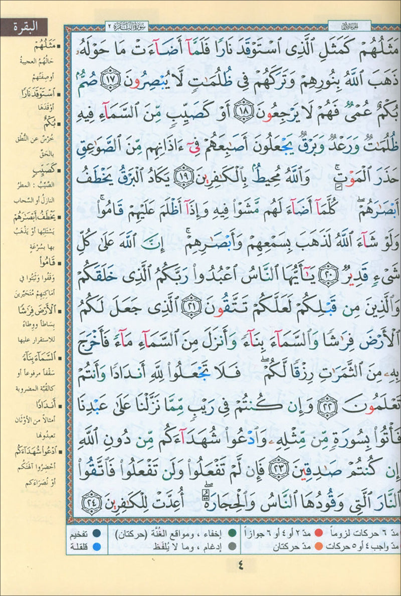 Bulk Tajweed Qur'an Set – 4 Books with Color-Coded Tajweed, Large Size (Hafs Narration) مصحف التجويد