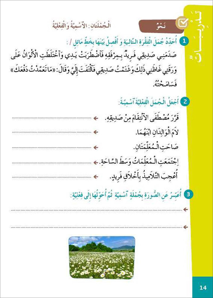 Al Amal Series - Reading Expression and Exercises: Level 5 سلسلة الأمل