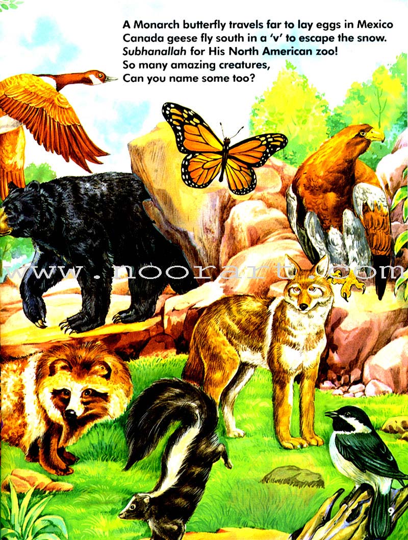 Allah's Zoo