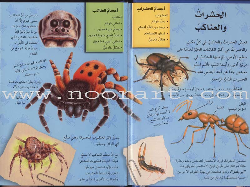 Discover with The Three-Dimensional Telescope (6 books) اكتشف بالمنظار الثلاثي الأبعاد