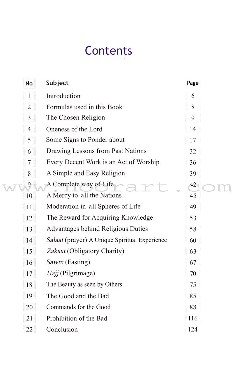 A Glimpse at the Beauty of Islam