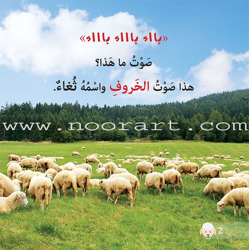 Let's Read and Discover Series (set of 5 books) سلسلة هيا نقرأ ونكتشف