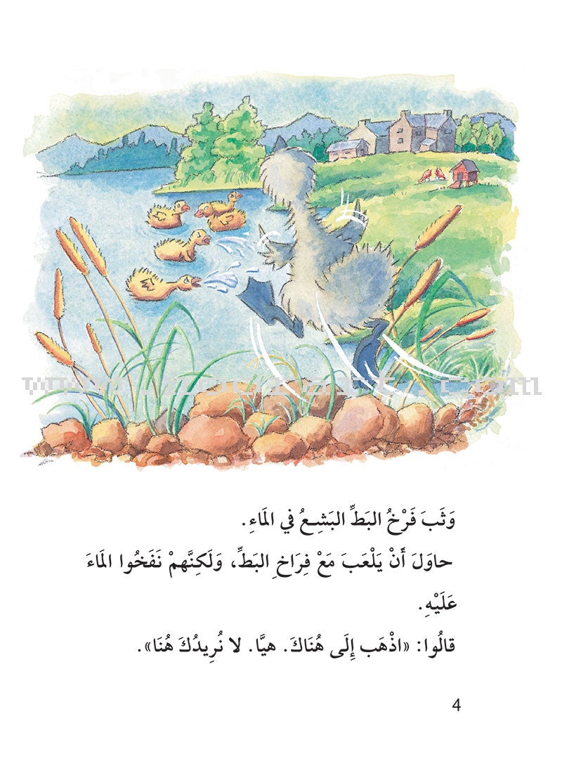 Useful Reading Series: Level 5 (Set of 4 Books) سلسلة المطالعة المفيدة: المستوى الخامس