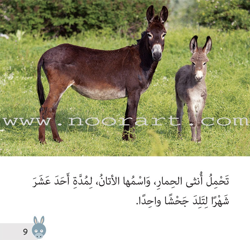 Let's Read and Discover Series (set of 5 books) سلسلة هيا نقرأ ونكتشف