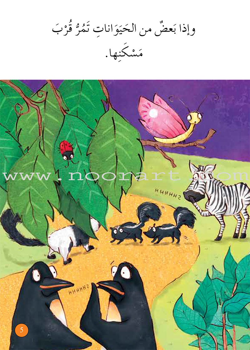 Graded Reading Series Orange Group (set of 5 Books) سلسلة القراءة المتدرجة مجموعة اللون البرتقالي