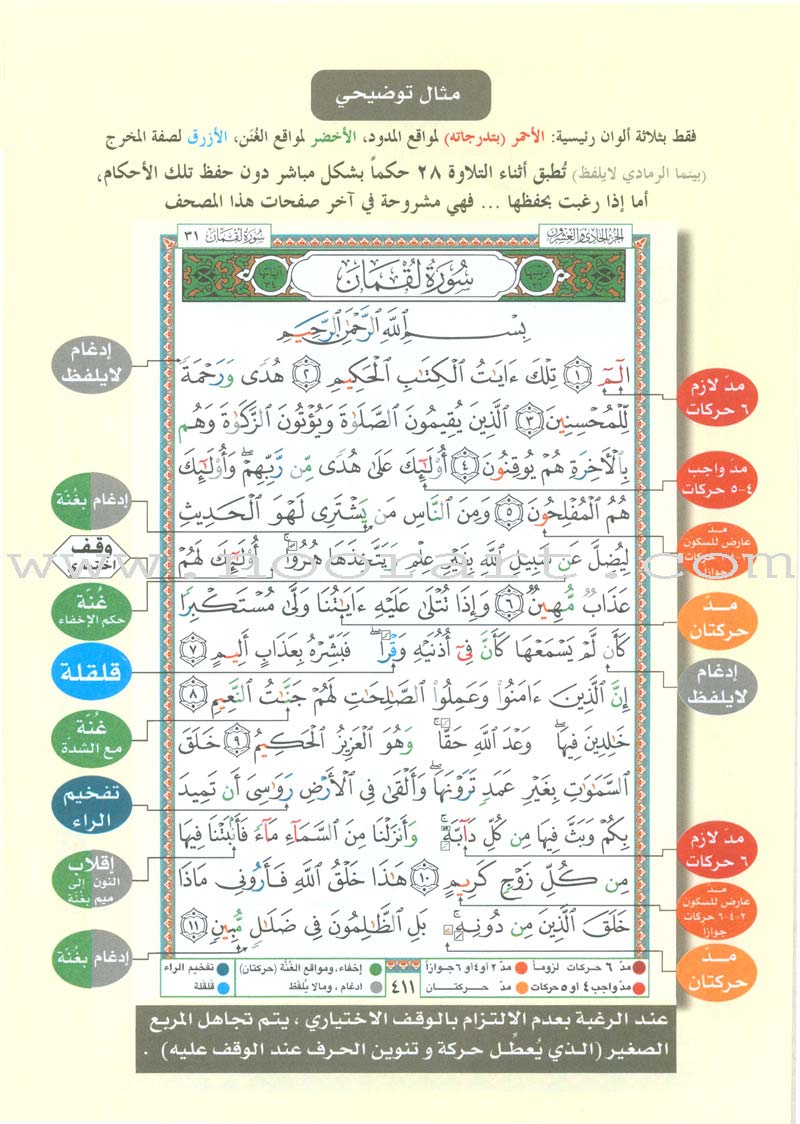 Tajweed Qur'an (Juz' Tabarak and Amma, Obvious Edition)