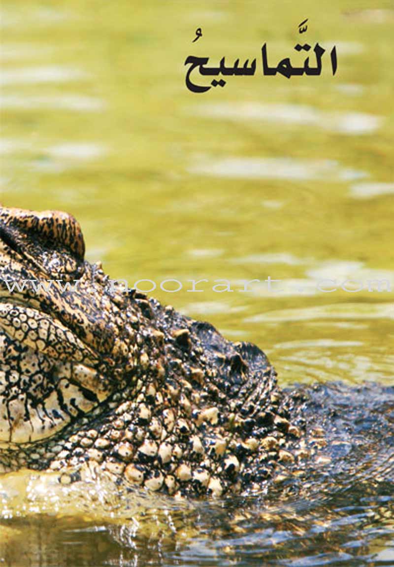 Amazing Animals of the World (8 books) حيوانات مدهشة في العالم