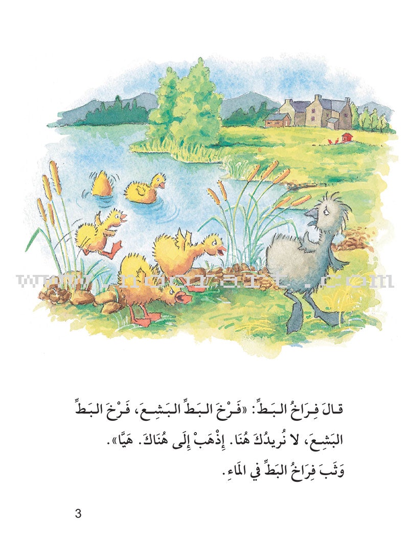Useful Reading Series: Level 5 (Set of 4 Books) سلسلة المطالعة المفيدة: المستوى الخامس