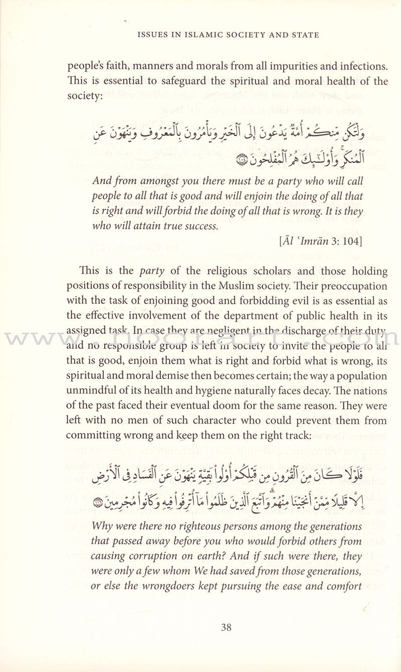 Issues in Islamic Society & State (Hardcover)