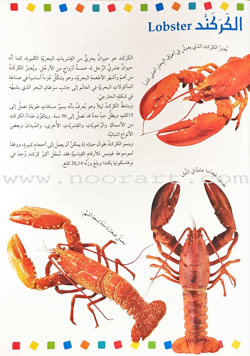 Encyclopedia of knowledge for young people (My giant book ,Set of 25 Books) موسوعة المعرفة للناشئة ,كتابي العملاق