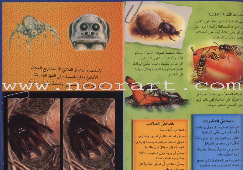 Discover with The Three-Dimensional Telescope (6 books) اكتشف بالمنظار الثلاثي الأبعاد
