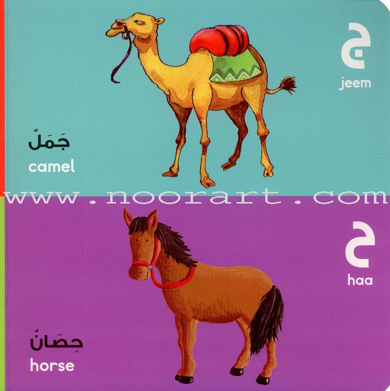The Arabic Letters Board Book الحروف العربية