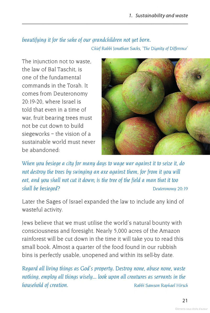 Sharing Eden: Green Teachings from Jews, Christians and Muslims