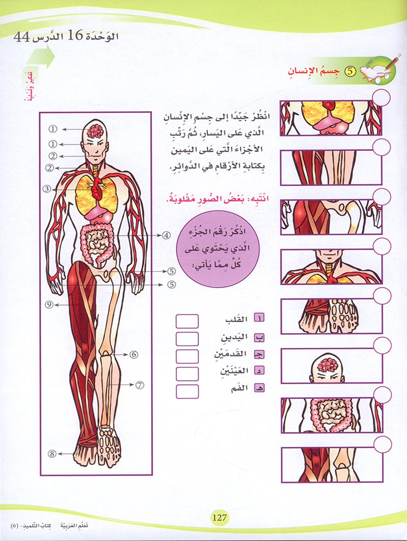 ICO Learn Arabic Textbook: Level 6 (Combined Edition,With Access Code) عربي - مدمج