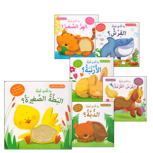 Learning Through Touch Series (Set of 6 Books)