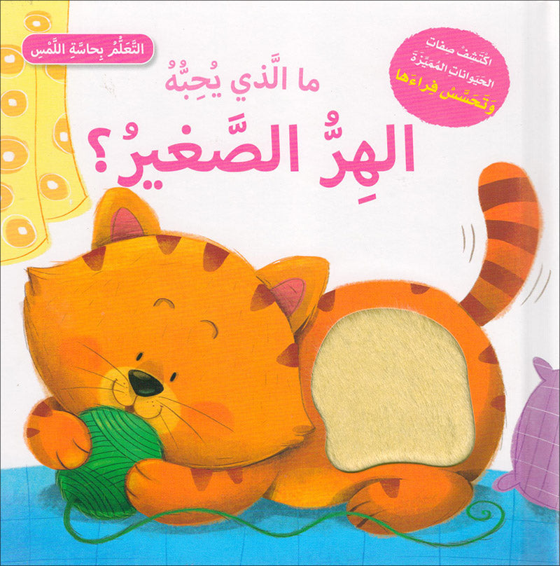 Learning Through The Sense of Touch Serie (Set of 6 Books) سلسلة أتعلم بحاسة اللمس
