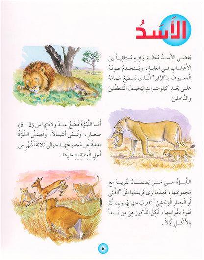 Animal's World series (Set of 6 books) سلسلة عالم الحيوانات