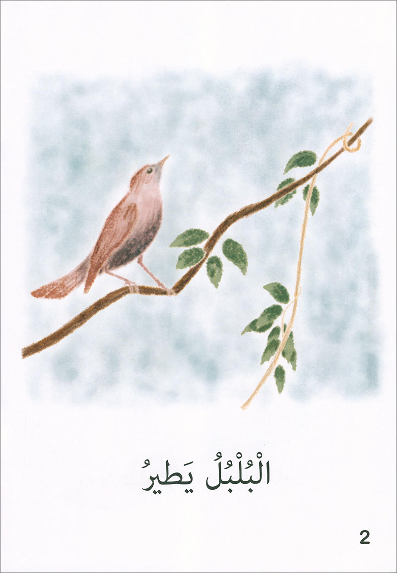 The Reading Tree Series: Beginner Level, Group 1 (Set of 10 Books) سلسلة شجرة القراءة
