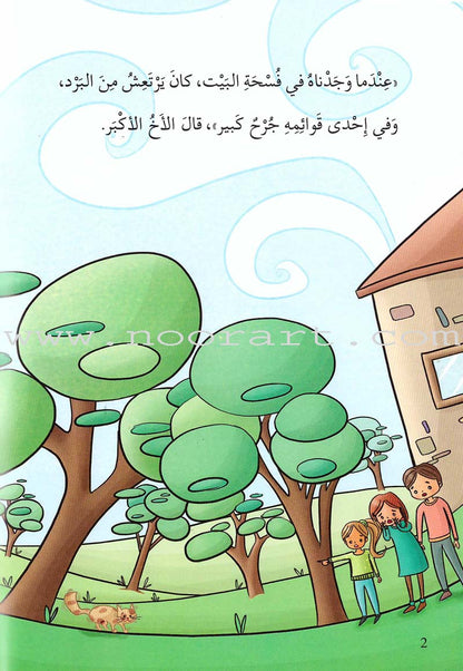 Go Up With Asala Series: Forth Stage-Advanced (Set of 10 books) سلسلة اصعد مع أصالة: المرحلة الرابعة-متقدم
