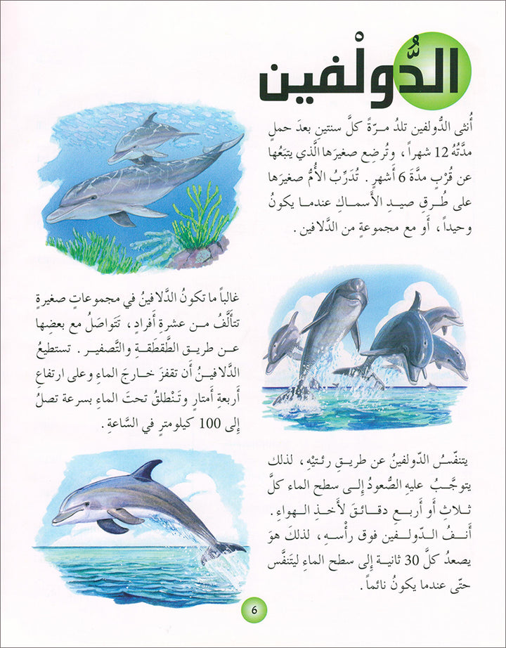 Animal's World series (Set of 6 books) سلسلة عالم الحيوانات
