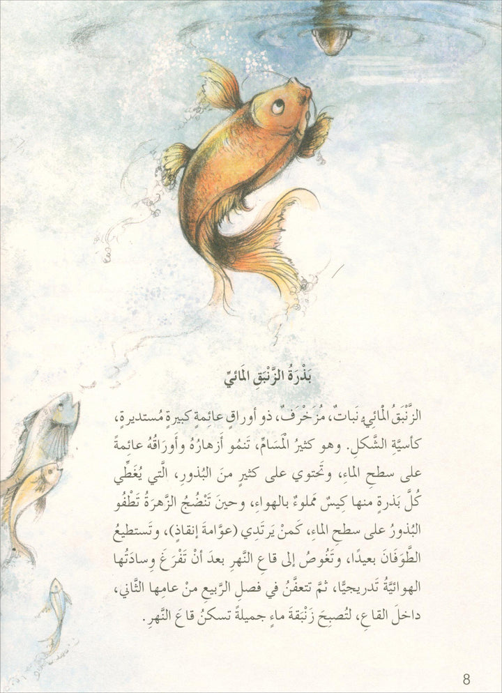 The Forest Mysteries Series (Set of 8 Books) سلسلة الغاز الغابة