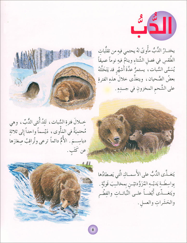 Animal's World series (Set of 6 books) سلسلة عالم الحيوانات