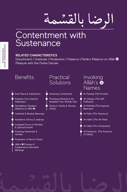 A Handbook of Prophetic Characteristics (Paperback)