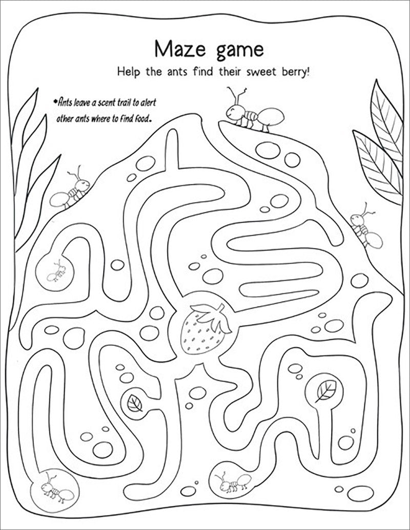 14 Animals in the Quran: Activity & Coloring Book - Part 1