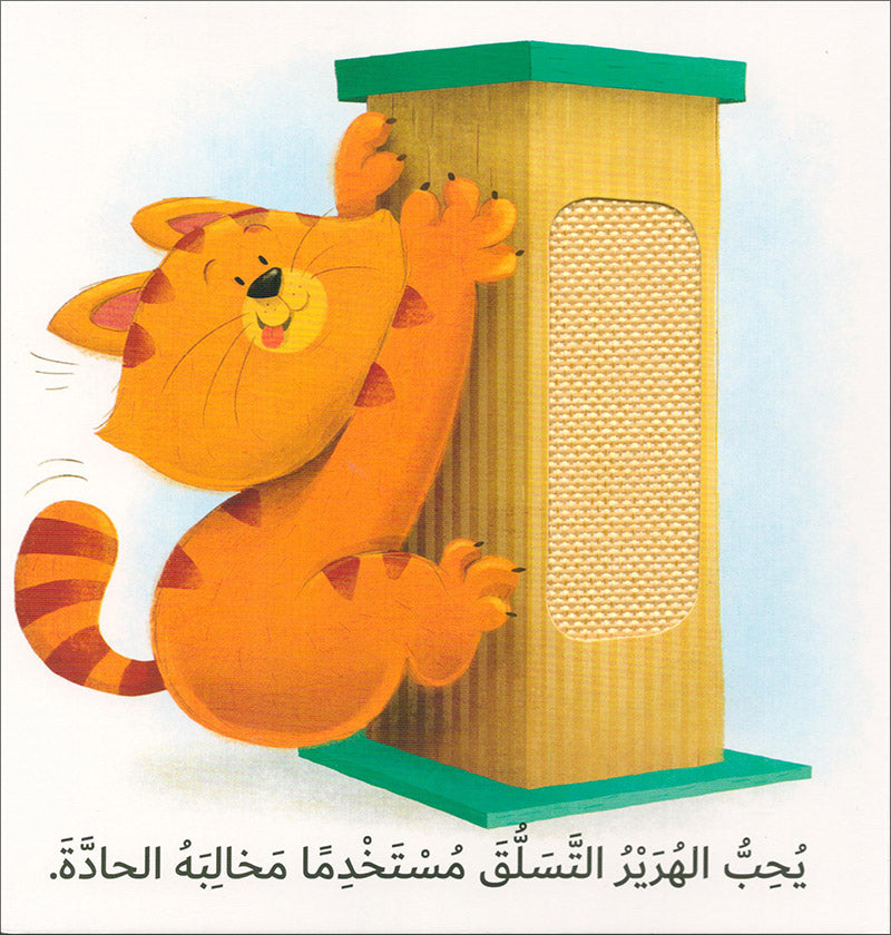 Learning Through The Sense of Touch Serie (Set of 6 Books) سلسلة أتعلم بحاسة اللمس