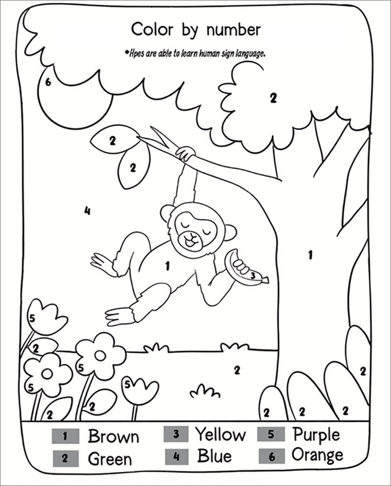 14 More Animals in the Quran: Activity & Coloring - Part 2