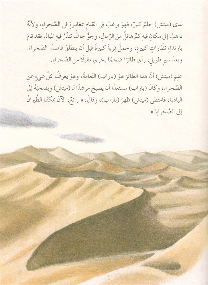 The Forest Mysteries Series (Set of 8 Books) سلسلة الغاز الغابة