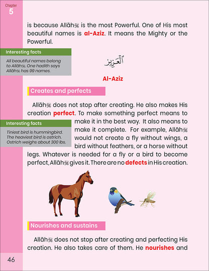 The Message of Islam Textbook: Level 2