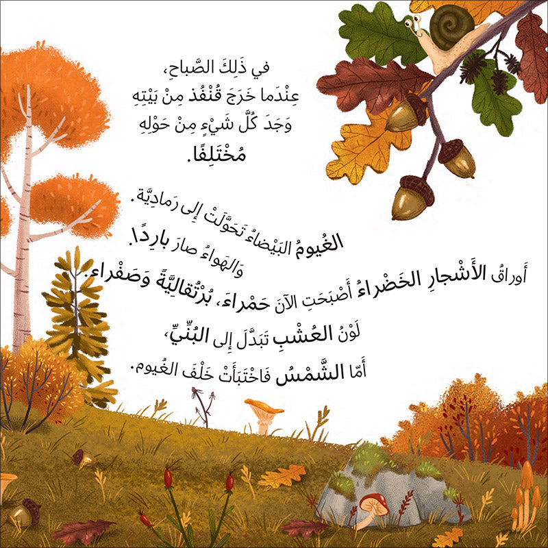 The Four Seasons (Set of 4 Books) سلسلة الفصول الأربعة