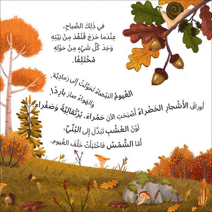 The Four Seasons (Set of 4 Books) سلسلة الفصول الأربعة