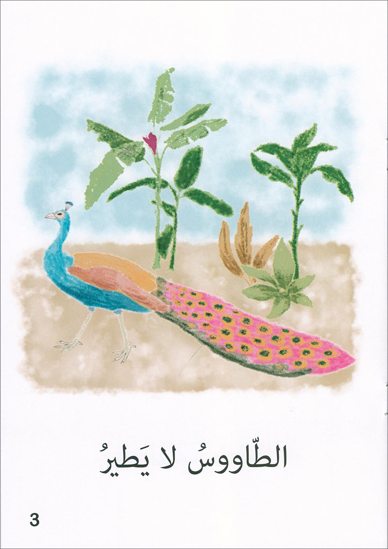 The Reading Tree Series: Beginner Level, Group 1 (Set of 10 Books) سلسلة شجرة القراءة