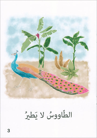 The Reading Tree Series: Beginner Level, Group 1 (Set of 10 Books) سلسلة شجرة القراءة