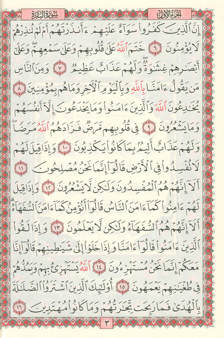 The Holy Quran - Hafs Narration (Uthmani Script, Color May Vary) القران الكريم  بالرسم العثماني برواية حفص