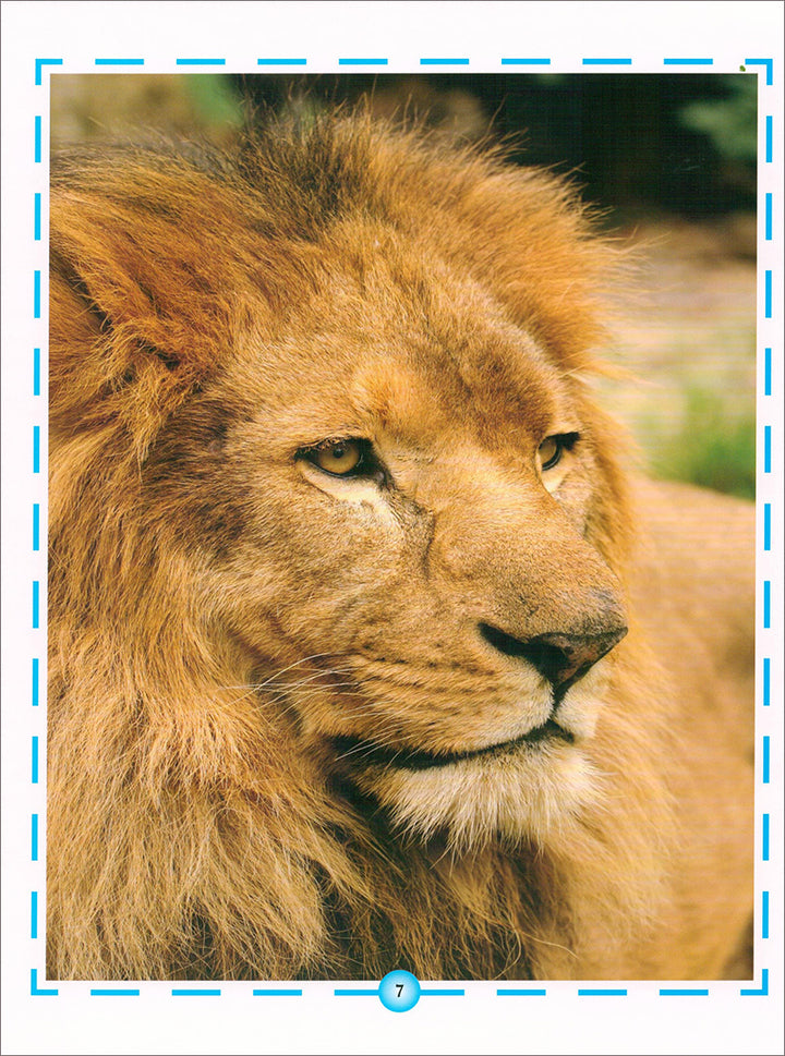 Animal's World series (Set of 6 books) سلسلة عالم الحيوانات