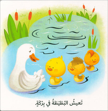 Learning Through The Sense of Touch Serie (Set of 6 Books) سلسلة أتعلم بحاسة اللمس