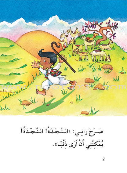 The Useful Reading Series: Level 3 (Set of 6 Books) سلسلة المطالعة المفيدة: المستوى الثالث