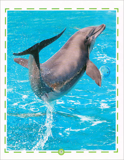 Animal's World series (Set of 6 books) سلسلة عالم الحيوانات