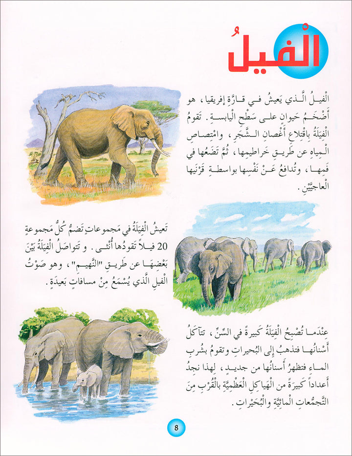 Animal's World series (Set of 6 books) سلسلة عالم الحيوانات