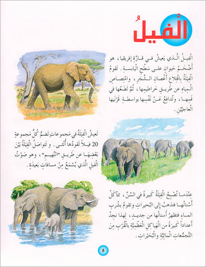 Animal's World series (Set of 6 books) سلسلة عالم الحيوانات